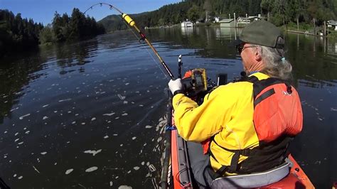 siuslaw river salmon fishing news